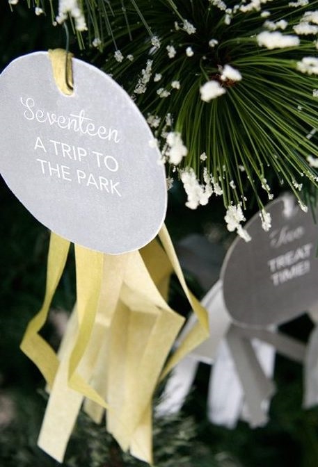 DIY Reverse Advent Calendar for Shelter Dogs & Pet Charity