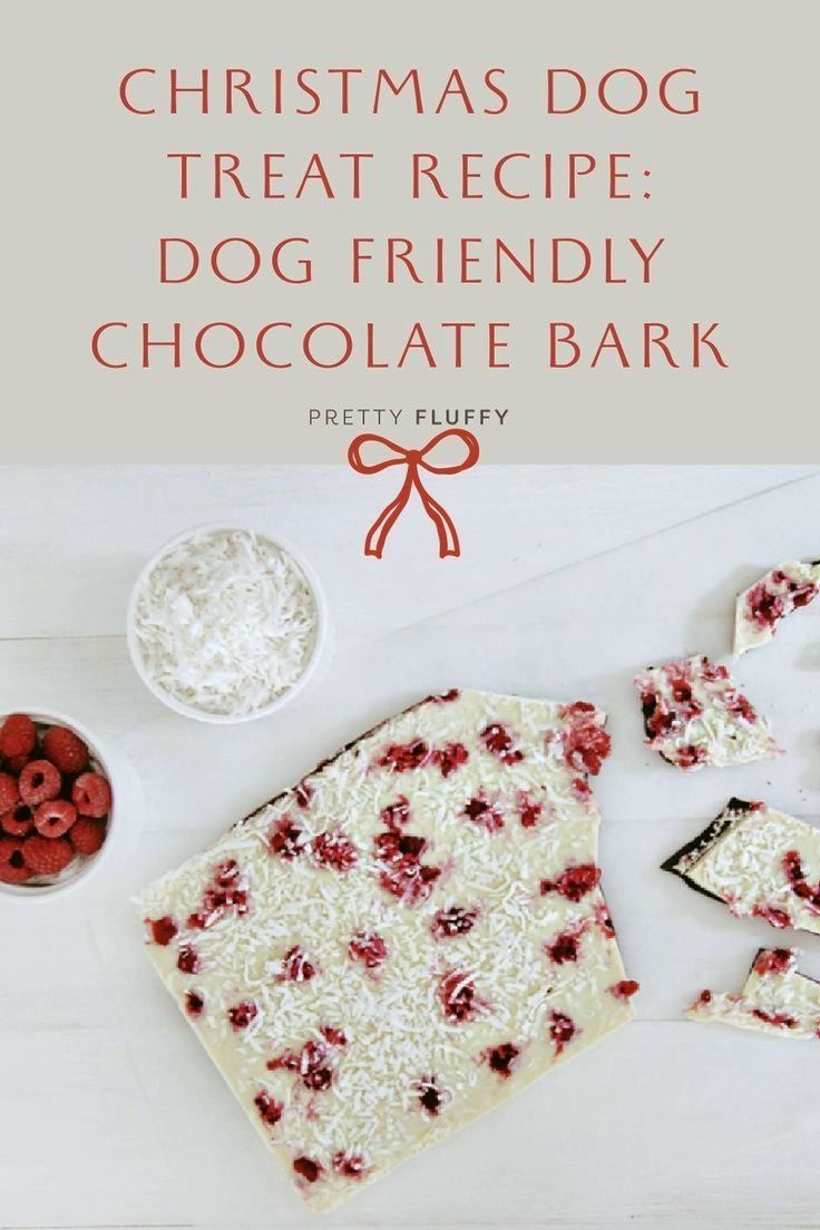 Christmas Dog Treat Recipe: Christmas Bark for Dogs made from carob