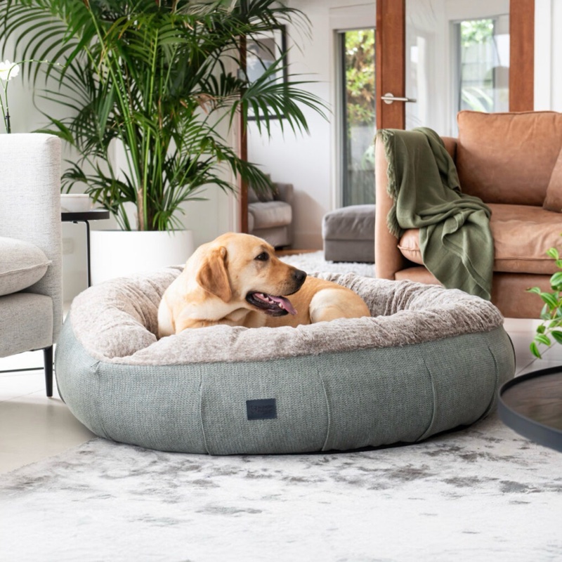 Harley Dog Bed by Superior Pet Goods