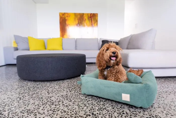 FuzzYard Life Bed - Corduroy Bed