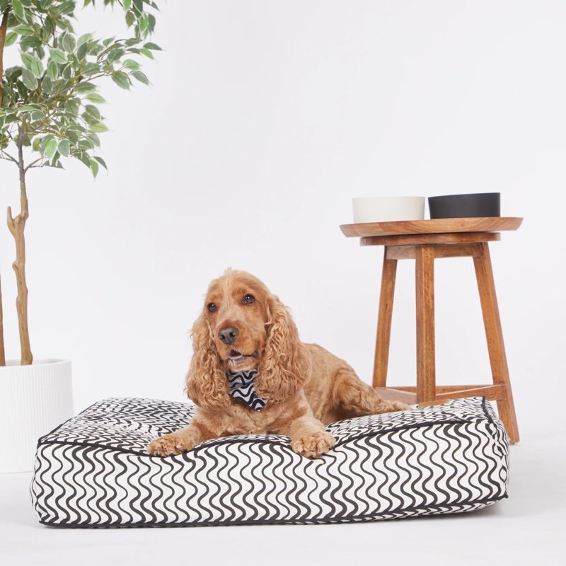 Cushion Dog Bed by Mog & Bone