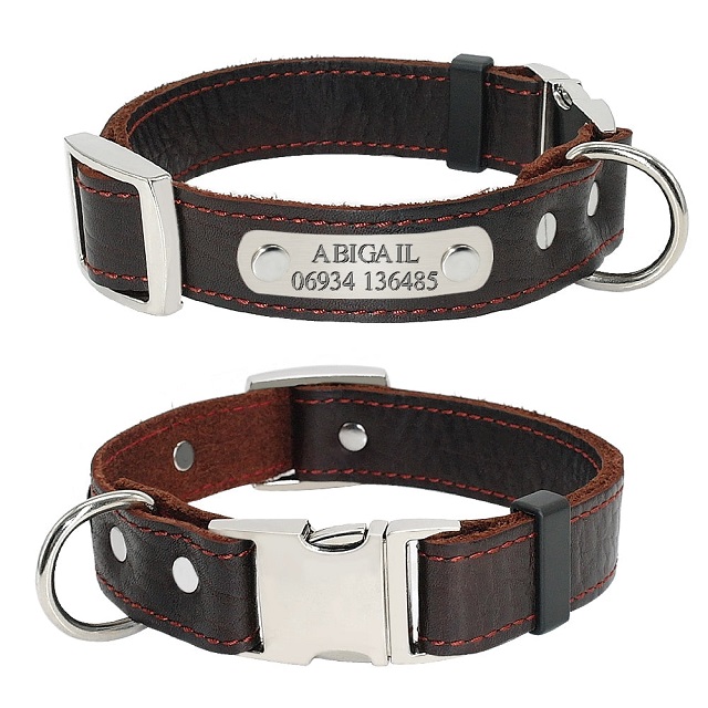 Dog Nation Dog Collar