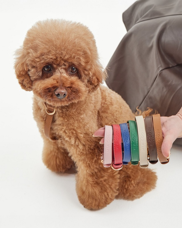 MIA COOSH Dog Collar
