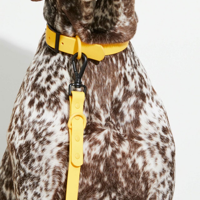 Yonder Dog Collar
