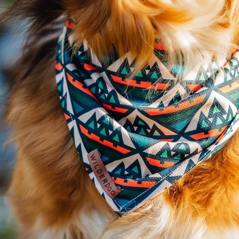 Wilderdog Dog Bandana
