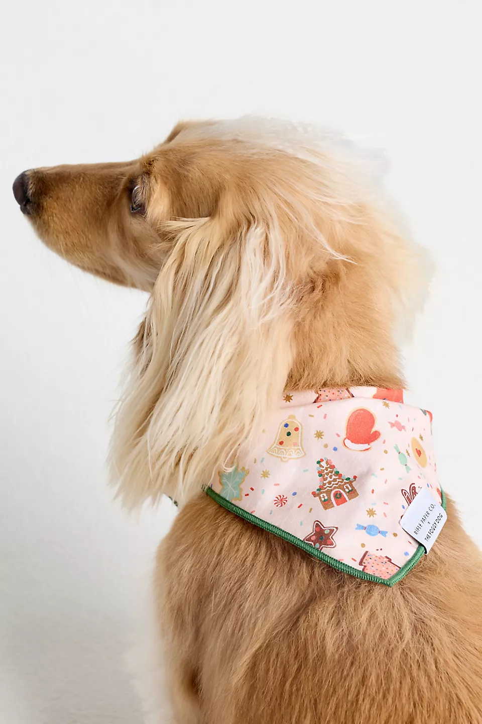 The Foggy Dog Bandana
