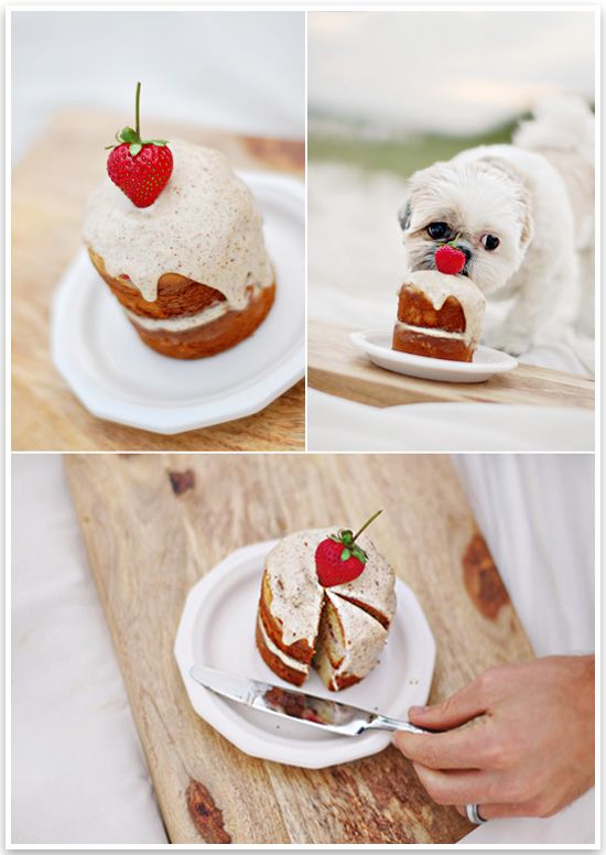 The BEST Dog Birthday Cake by Pretty Fluffy