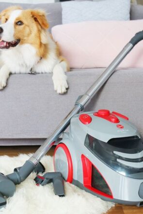 Full review of the $99 Hoover Dog and Cat Vacuum (turbo bagless 1800W) form Godfreys - the best budget friendly vacuum for pet owners and allergy sufferers.
