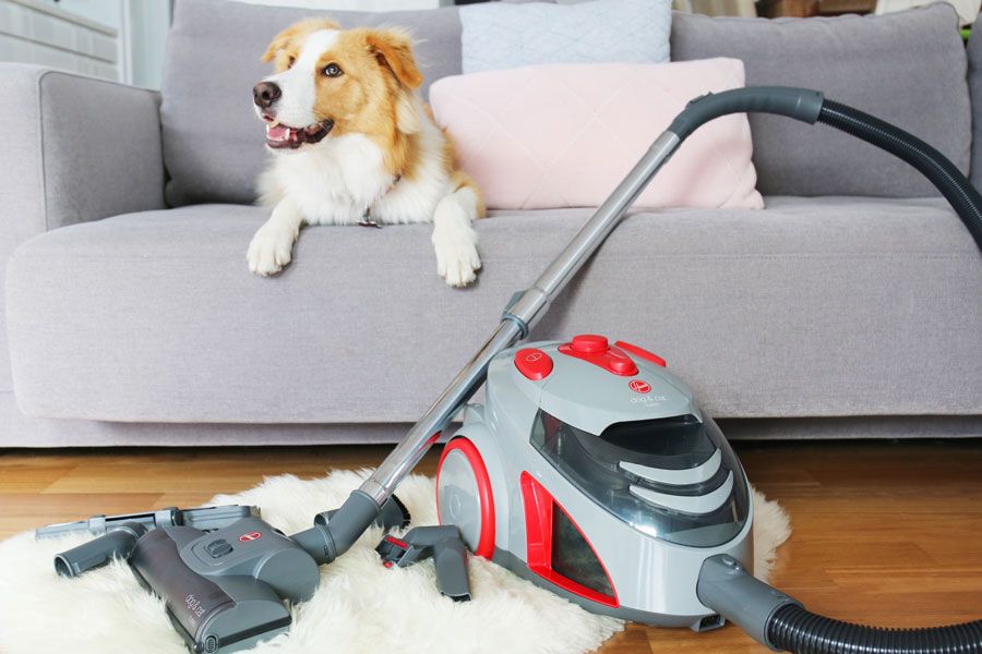 Full review of the $99 Hoover Dog and Cat Vacuum (turbo bagless 1800W) form Godfreys - the best budget friendly vacuum for pet owners and allergy sufferers.