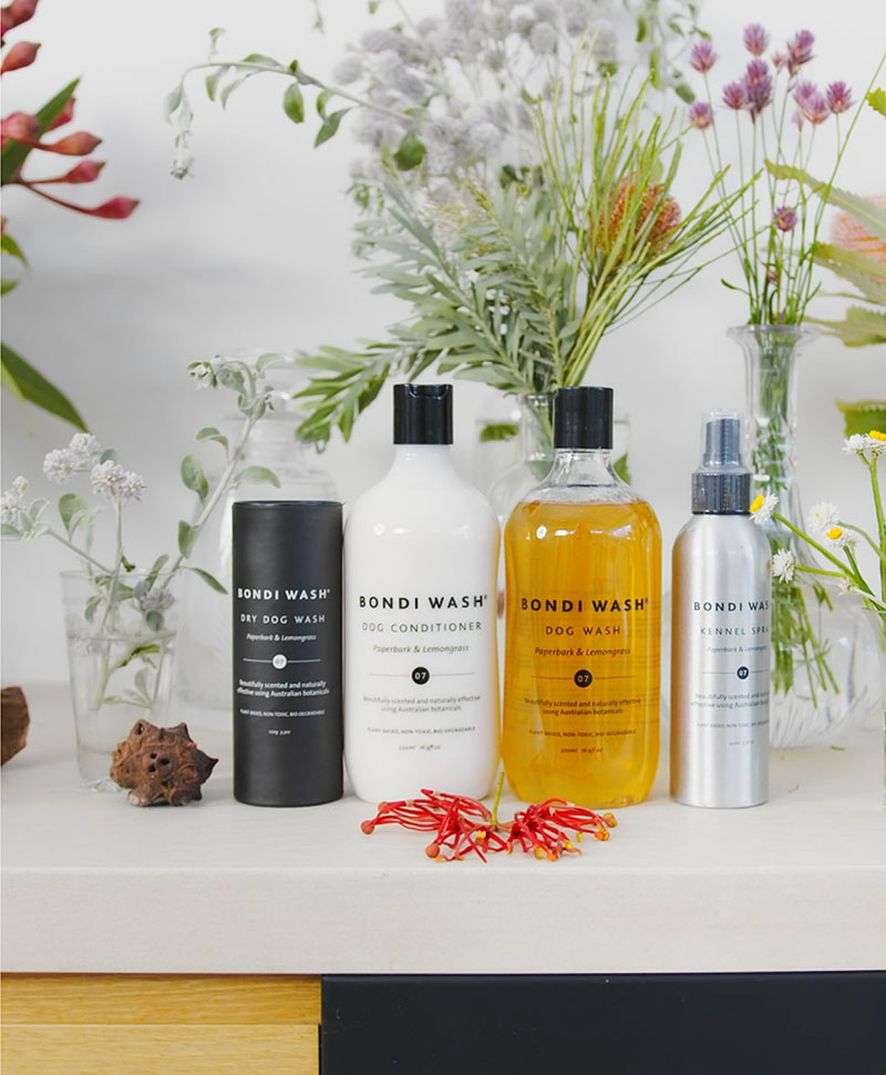 Bondi Wash Dog Shampoo