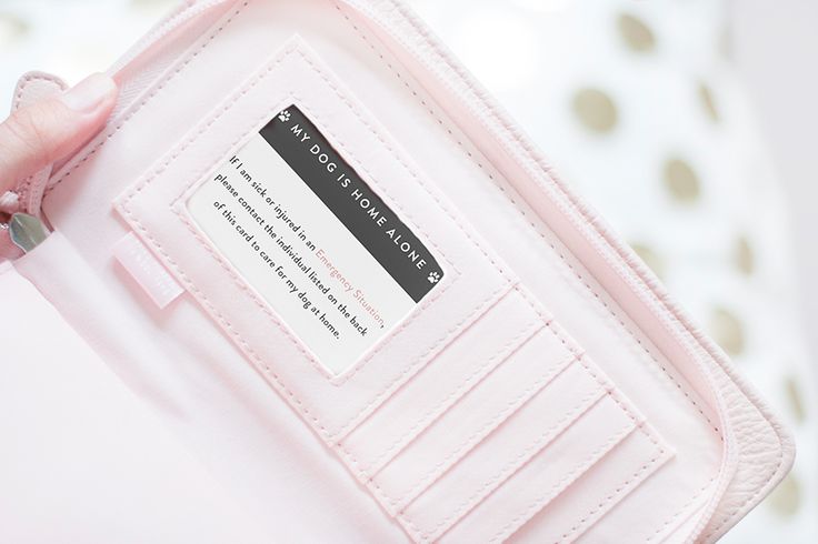 My Dog is Home Alone Card