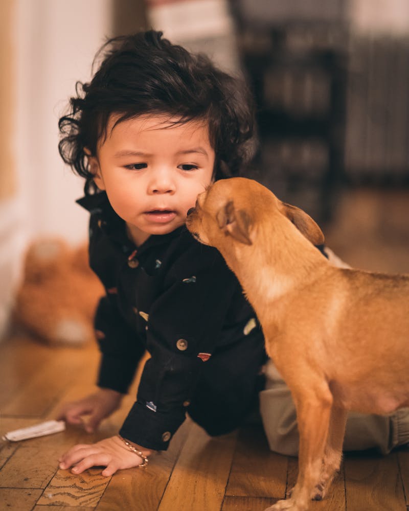 7 Amazing Benefits of Dogs for Kids