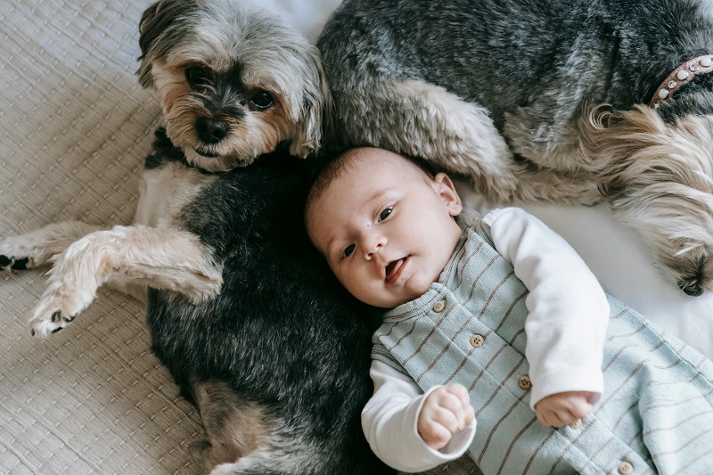 7 Amazing Benefits of Dogs for Kids