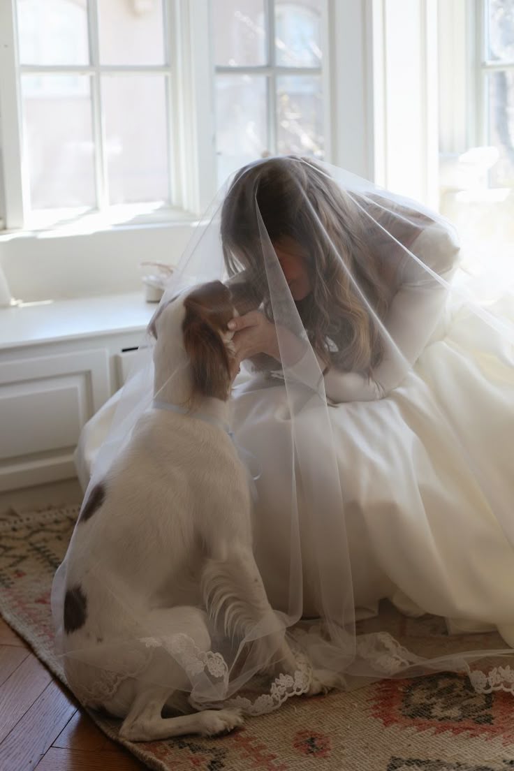 dog wedding photos