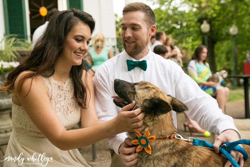 Tips for To Include Your Dog in Your Wedding Day