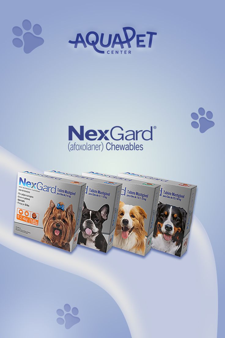 nexgard for dogs