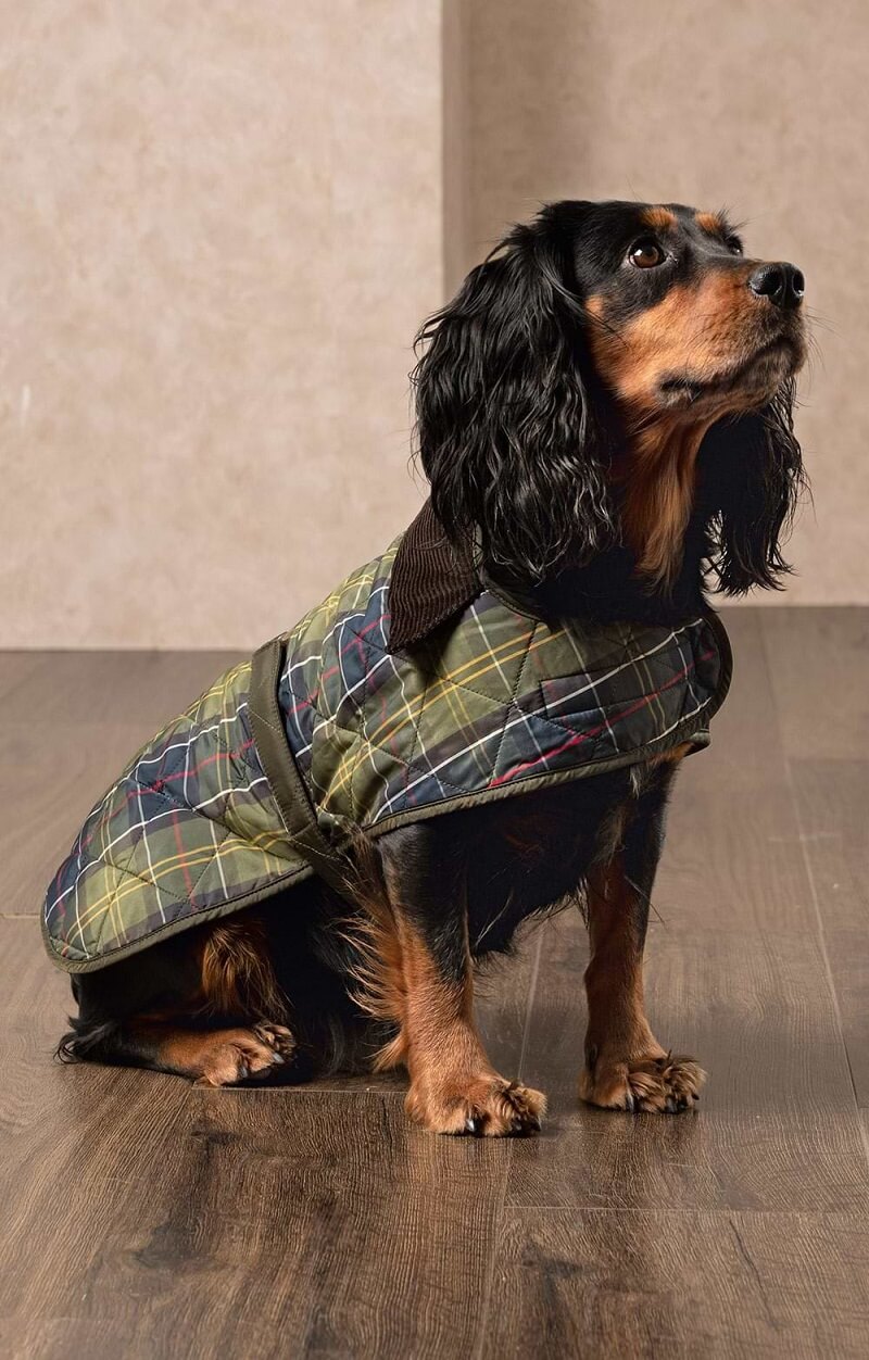 Barbour Tartan Dog Coat