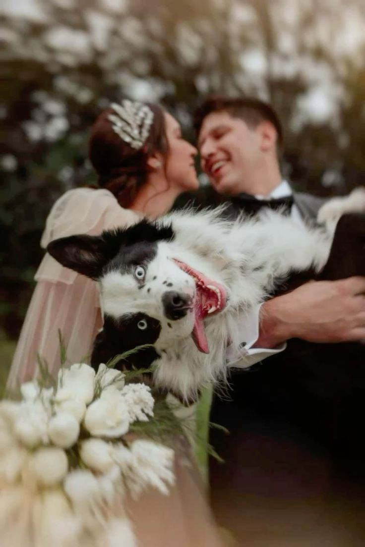 dog wedding photos
