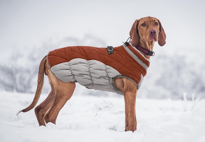 FUAMEY Dog Coat for Small Dogs