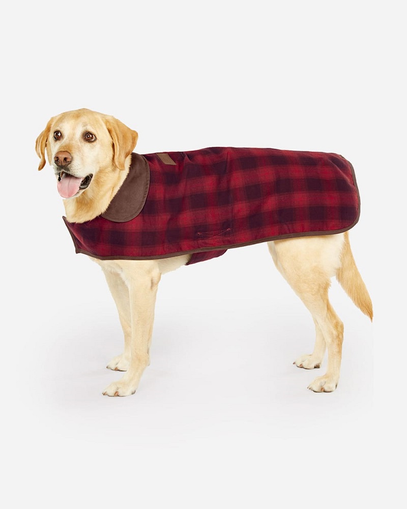 Pendleton Plaid Dog Coat