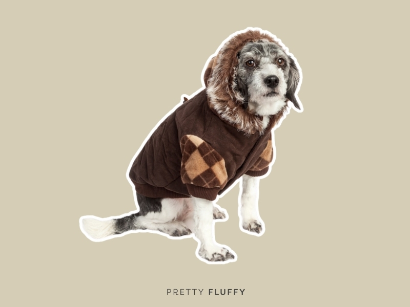 Pet Life Brown Dog/Cat Coat