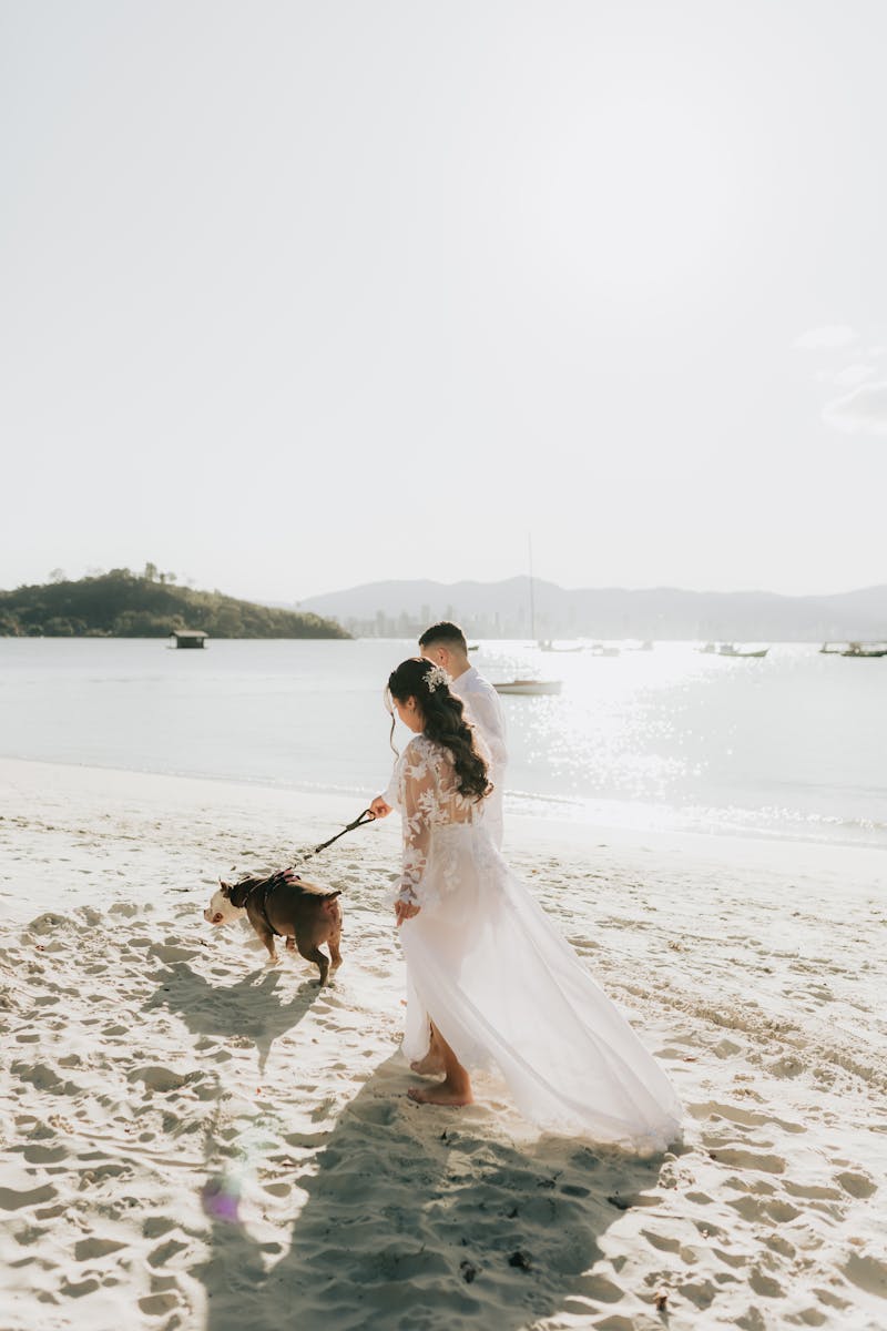 dog at wedding with bride and groom