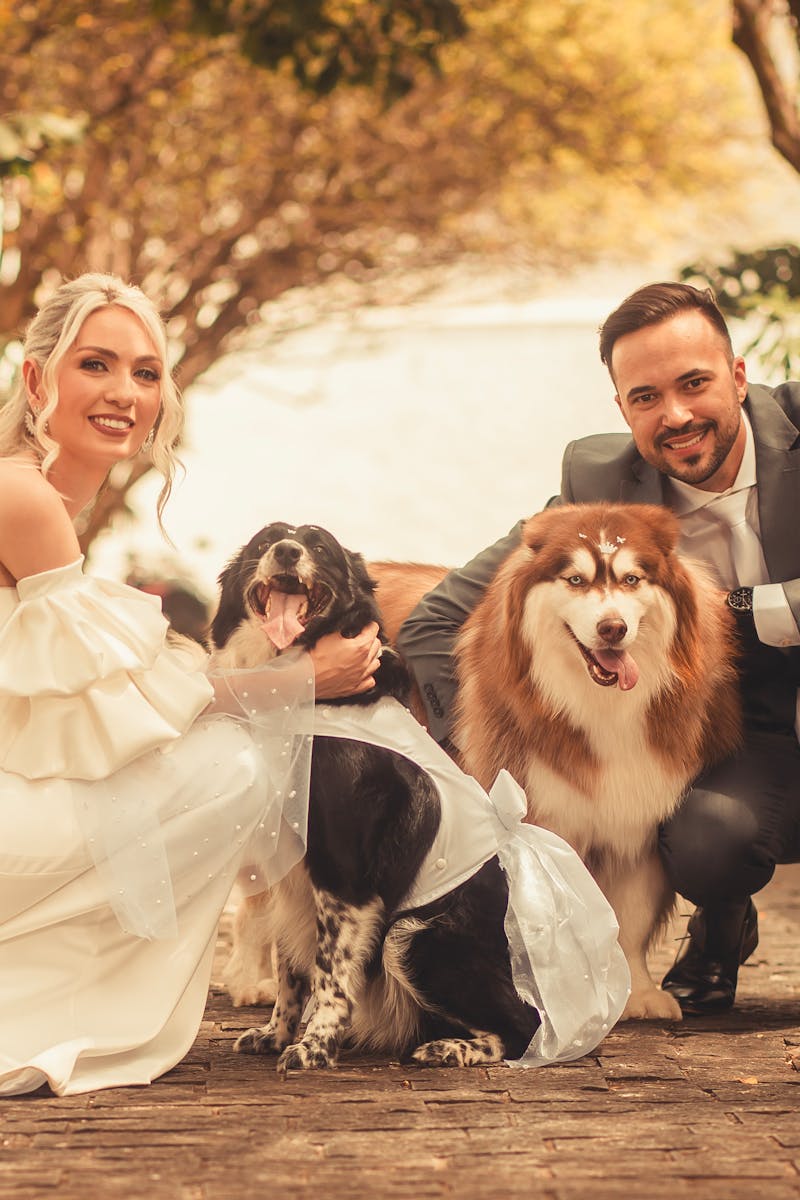bride and groom sitting down next to dogs
