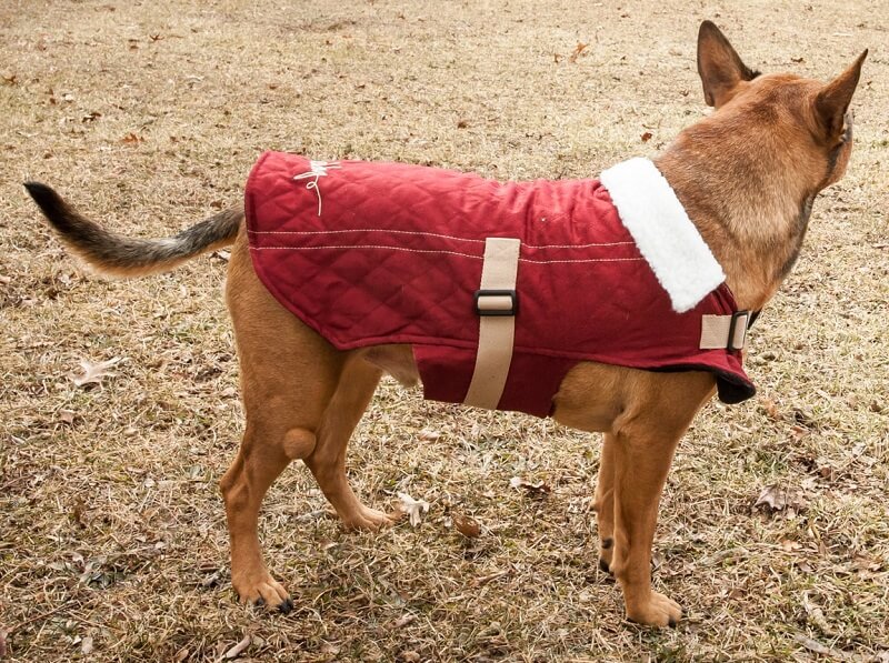 Touchdog Dog/Cat Coat