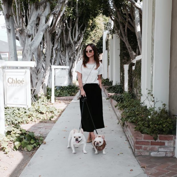 Dog Friendly Los Angeles City Guide: Where to stay, play, and dine when you're visiting LA with your dog.