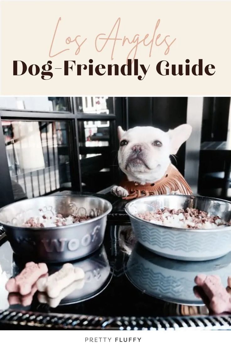 Dog Friendly Los Angeles City Guide: Where to stay, play, and dine when you're visiting LA with your dog.
