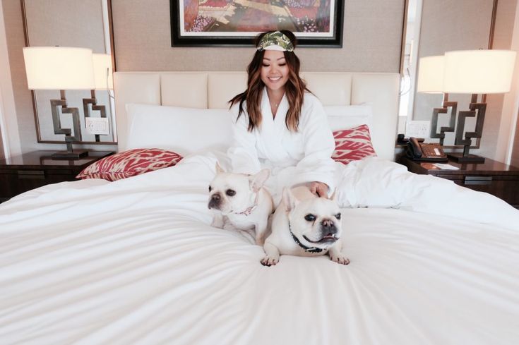 Dog Friendly Los Angeles City Guide: Where to stay, play, and dine when you're visiting LA with your dog.