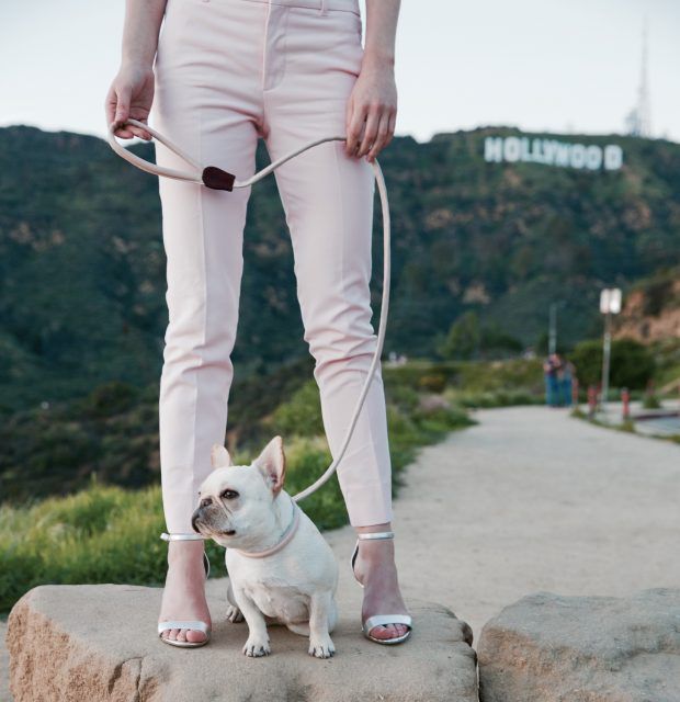 Dog Friendly Los Angeles City Guide: Where to stay, play, and dine when you're visiting LA with your dog. Image by Teddy Maximus.