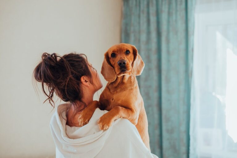 A Day in the Life of a Dog Mom