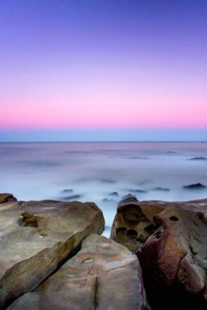 best dog friendly holiday parks in australia