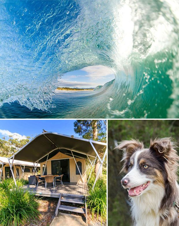 Our top picks of best dog friendly holiday parks for families, couples and holiday makers. Why not bring your dog along this holiday?