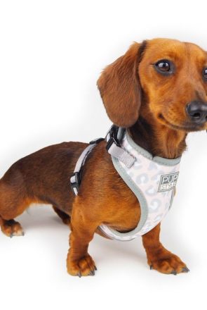 Our favourite dog harness picks for dogs of all shapes and sizes - personalised harnesses, adjustable, no-pull, reversible harnesses and more - all comfortable, stylish and doggo approved.