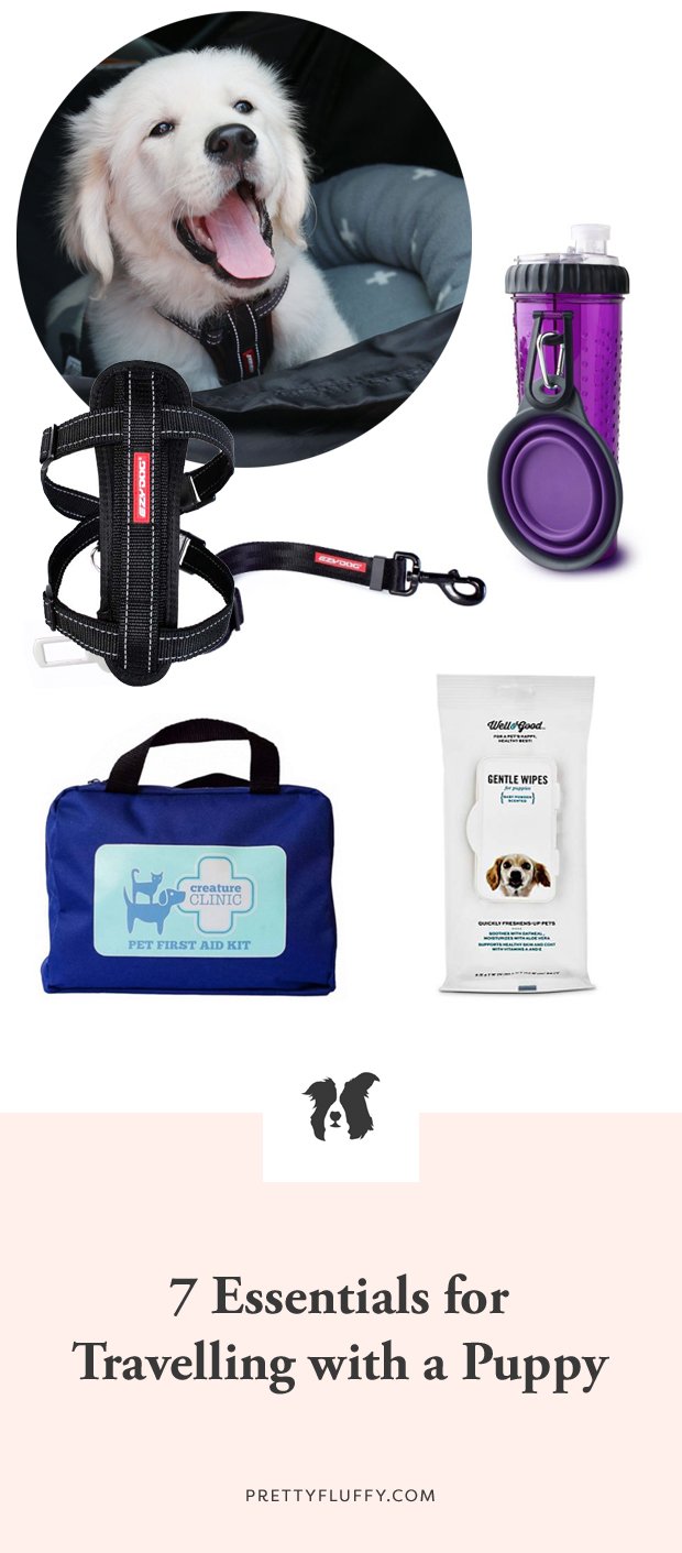 Travelling with a Puppy 7 Essentials for a Safe Trip Pretty Fluffy
