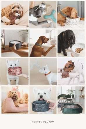 5 Tips to Create a Stylish Home with Pets
