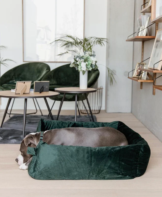 Soft Sleep Luxury Dog Bed - stylish pet-friendly home
