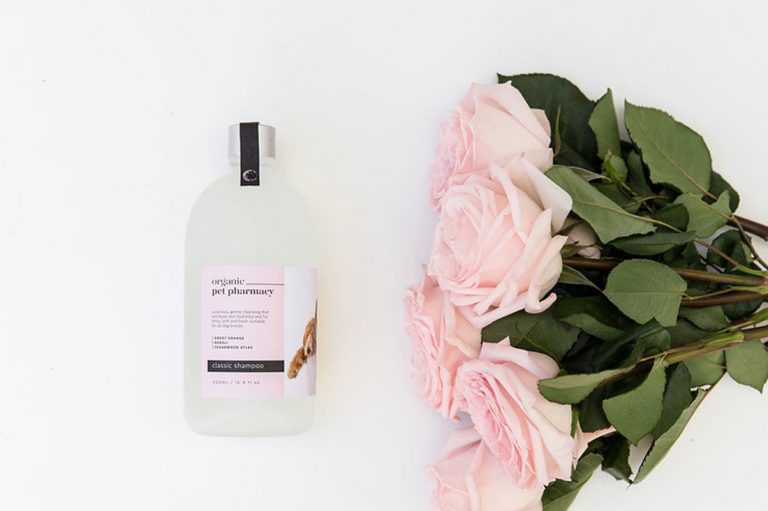 Our Favourite Dog Shampoos for Sensitive Skin