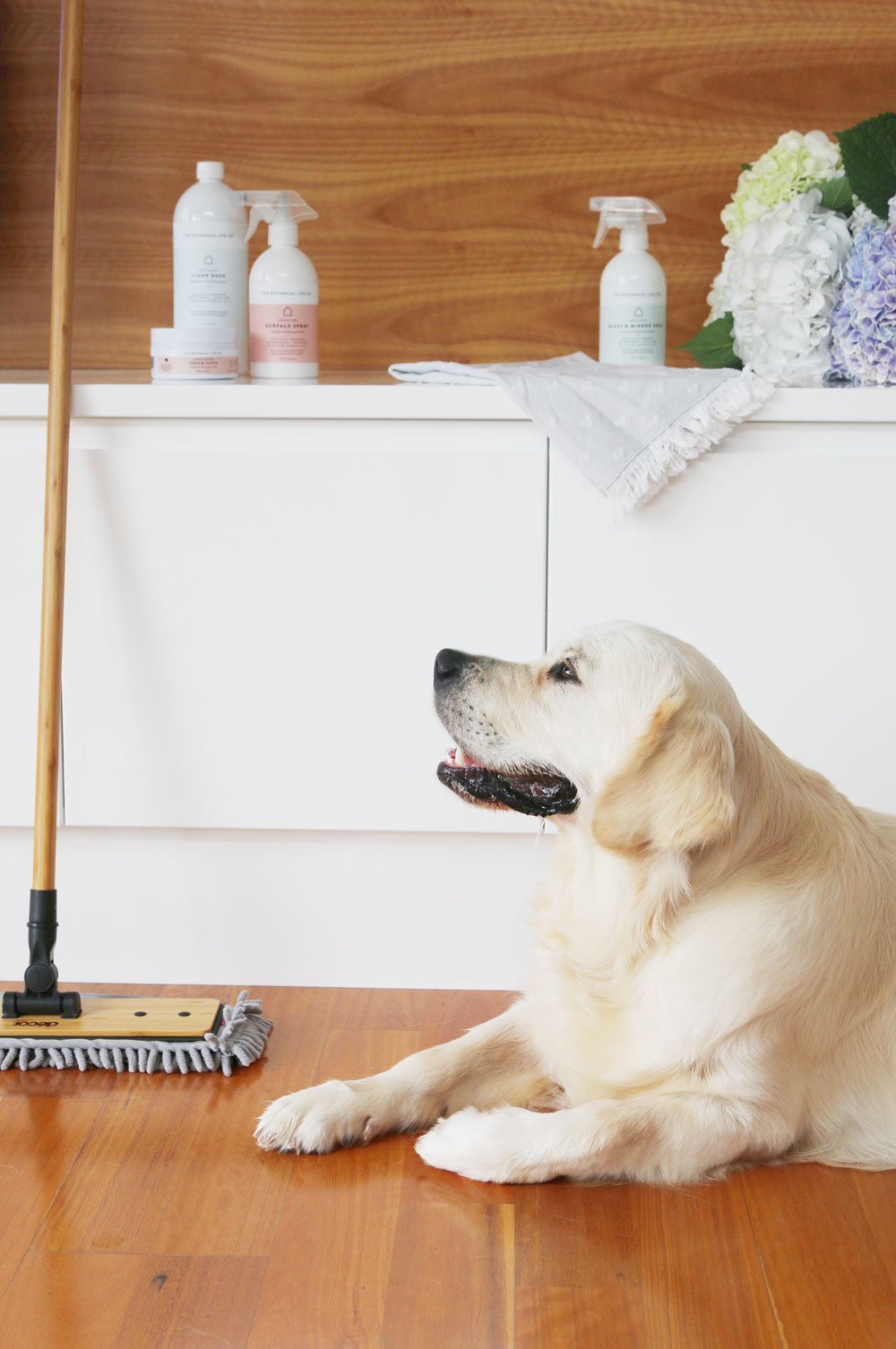 How To Keep A House Clean with Dogs Your Ultimate Guide