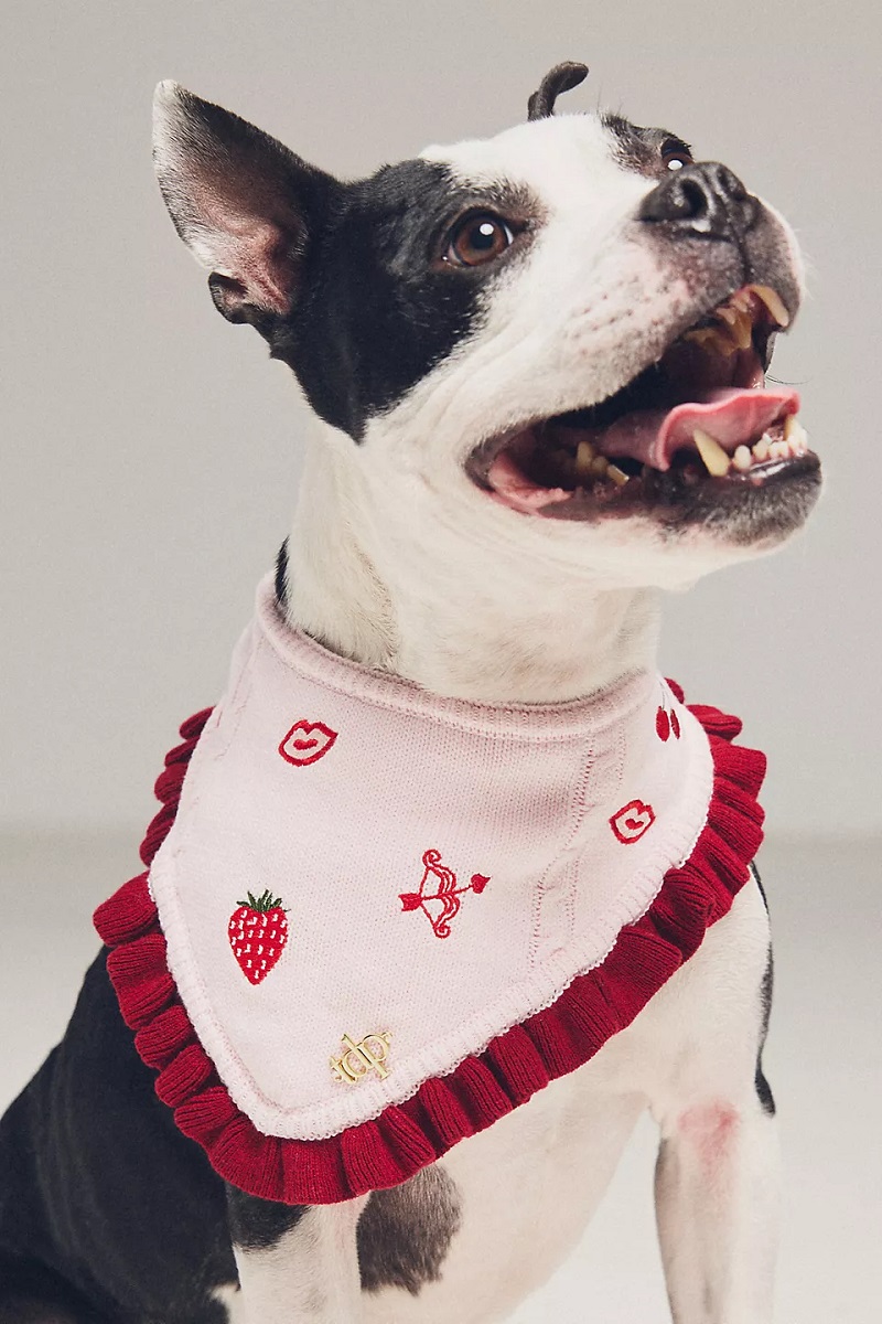 The Deluxe Pup Valentine's Day Pet Bandana