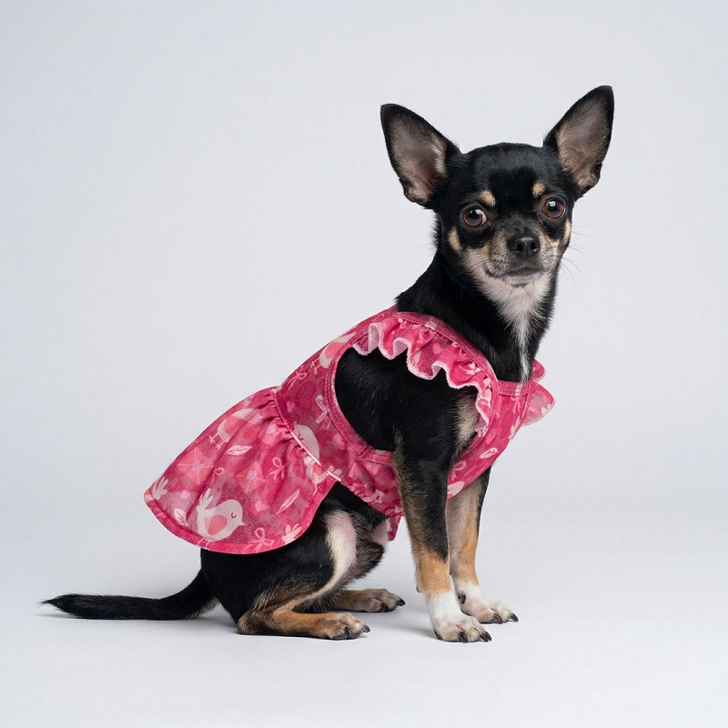 Fitwarm Valentine Bird Dog Dress