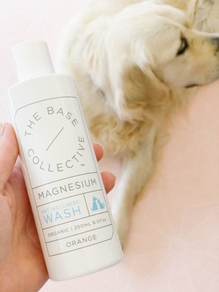 Magnesium for Dogs Pet Health & Wellbeing Pretty Fluffy