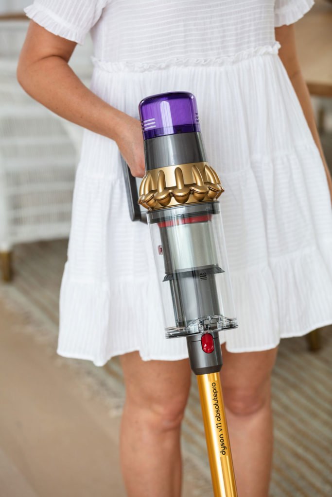 Real Life Review The Dyson V11 for Pet Hair and Dog Owners