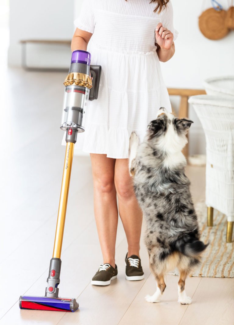 Real Life Review The Dyson V11 for Pet Hair and Dog Owners
