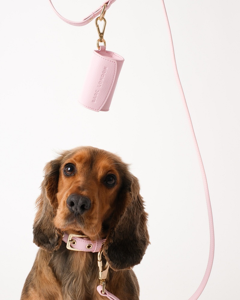 Barc London Luxury Leashes