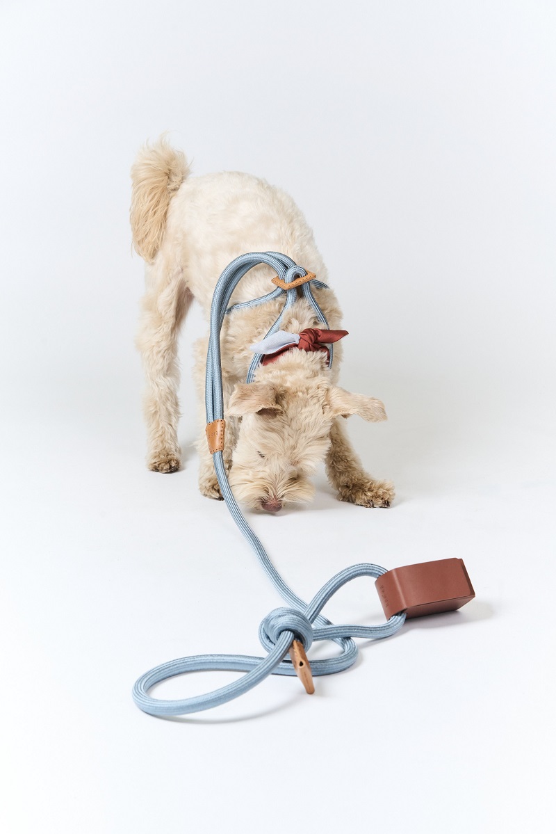 Boo Oh Designer Leashes