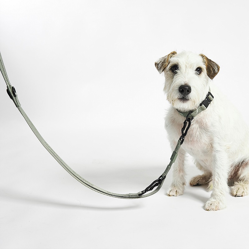 MiaCara Dog Leashes