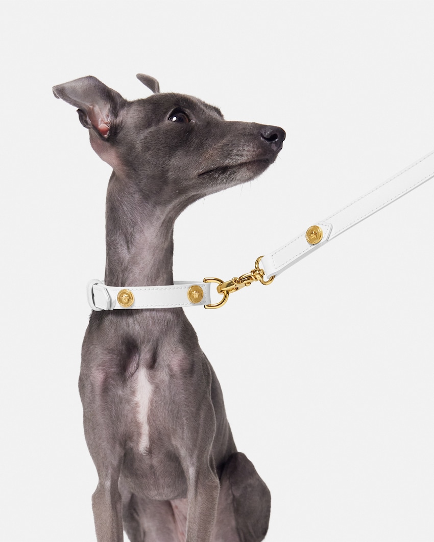 Versace Icon Small Pet Leash